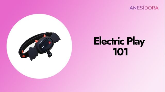 Electric Play 101