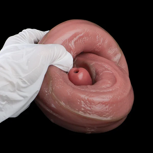 Endoscope Realistic Long Dildo - Platinum Liquid Silicone