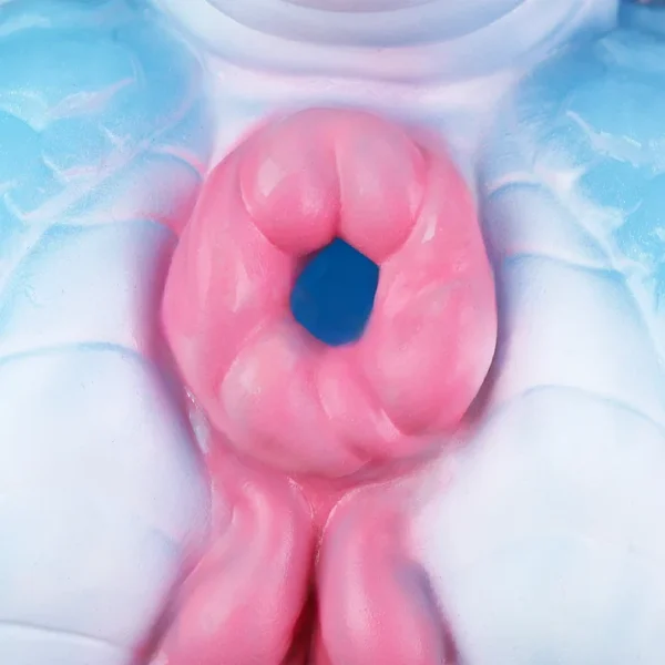 Frost Princess - Azure Dragon Sex torso