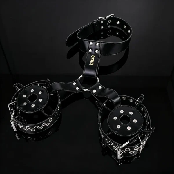 Psyche Goddess  - Riveted Breast Harness
