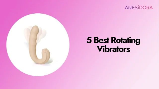 5 Best Rotating Vibrators