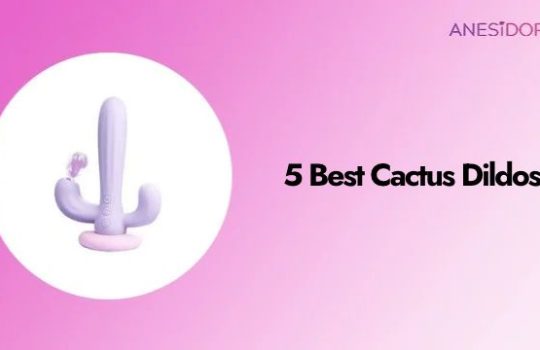 5 Cactus Dildos