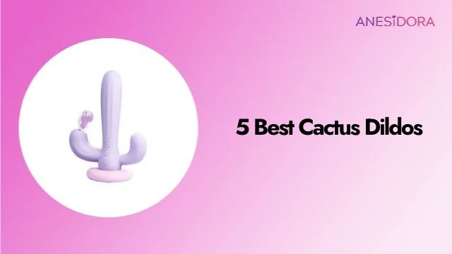 5 Cactus Dildos