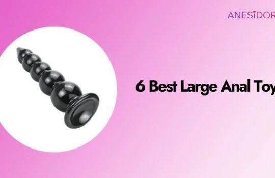 6 Best Large Anal Toys