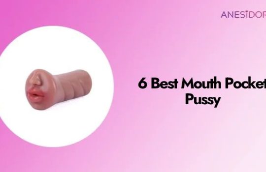 6 Best Mouth Pocket Pussy